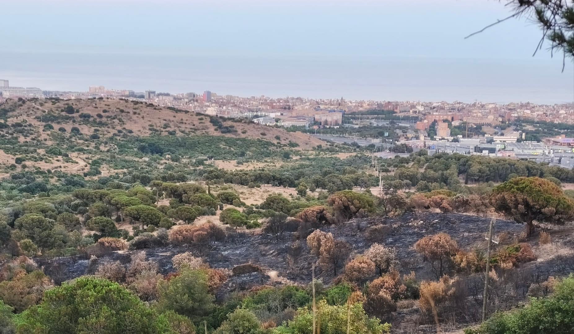 Serralada de Marina després de l'incendi del passat juny